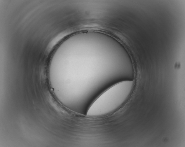 X0000112091458200908041037