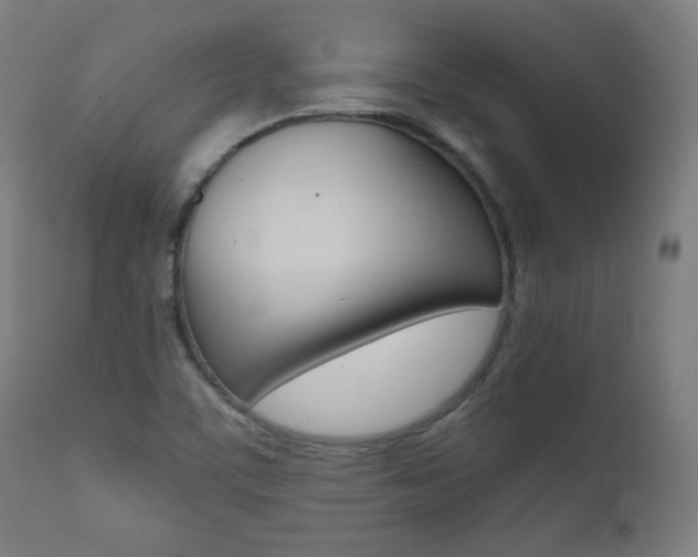 X0000112091459200908041037
