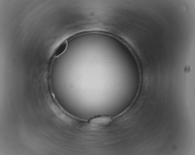 X0000112091460200908041036