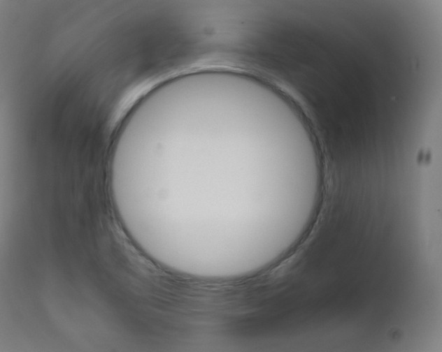 X0000112091461200908041036