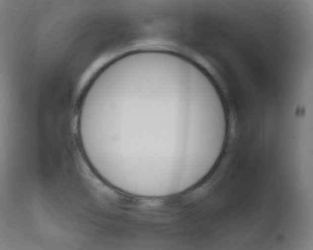 X0000112091462200908041036
