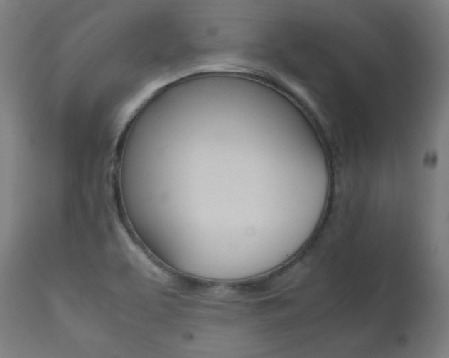 X0000112091463200908041036