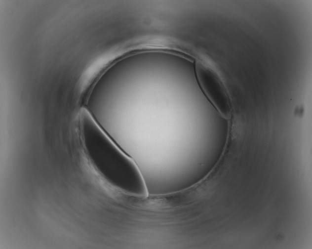 X0000112091464200908041036