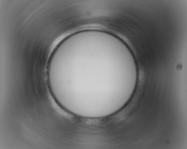 X0000112091466200908041036