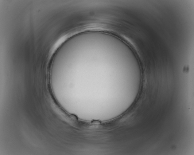 X0000112091467200908041036