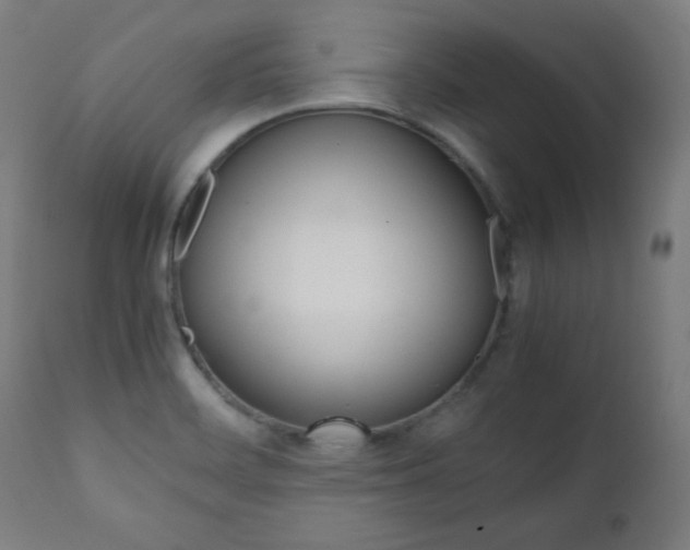 X0000112091468200908041036