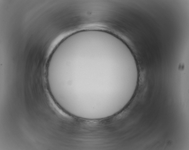 X0000112091470200908041036