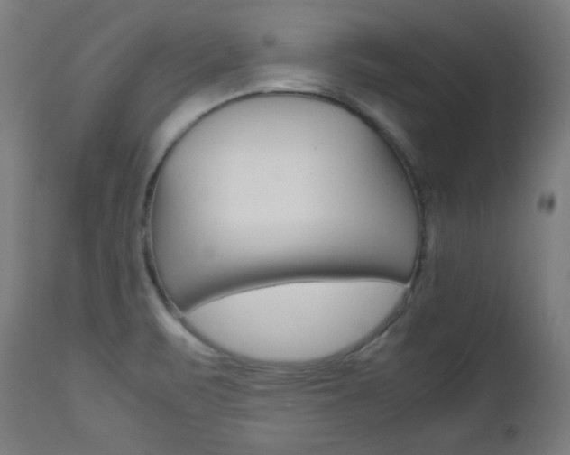 X0000112091471200908041036