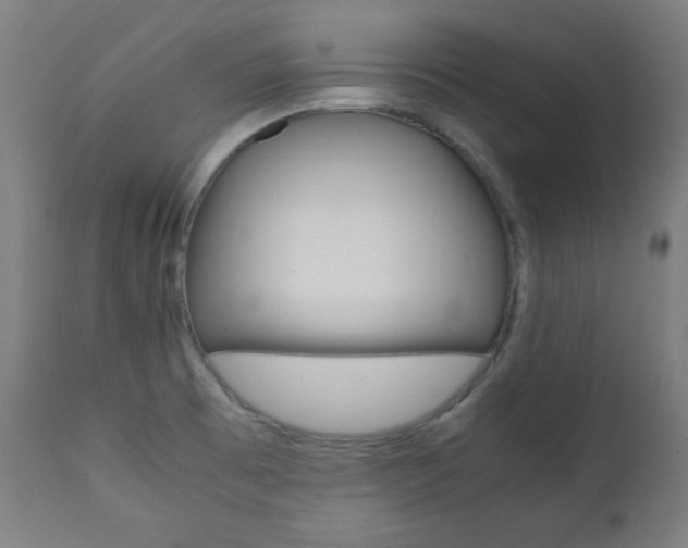 X0000112091473200908041036