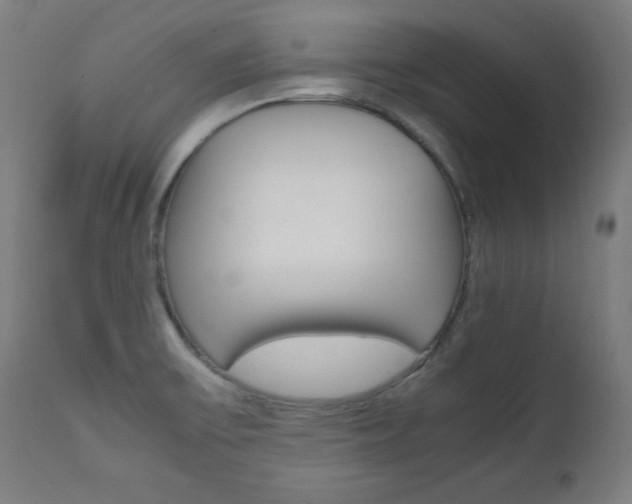 X0000112091475200908041036