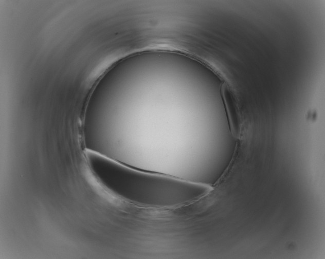X0000112091476200908041036