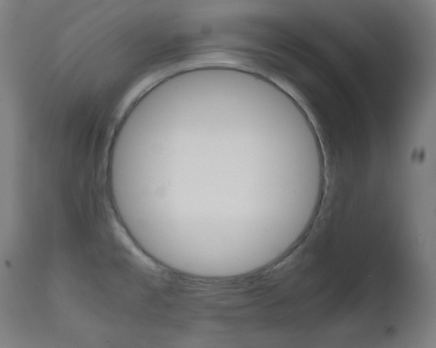 X0000112091477200908041036