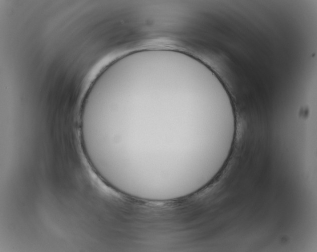 X0000112091478200908041036