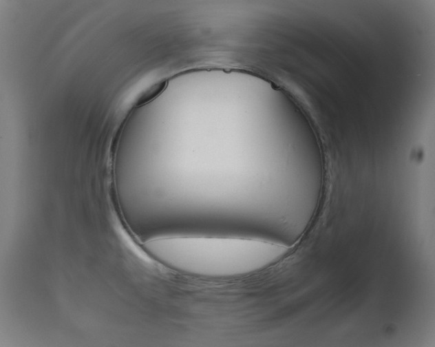 X0000112091479200908041036