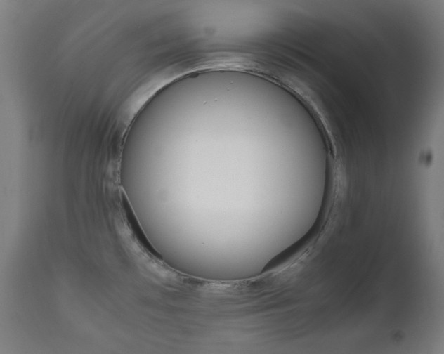 X0000112091481200908041036