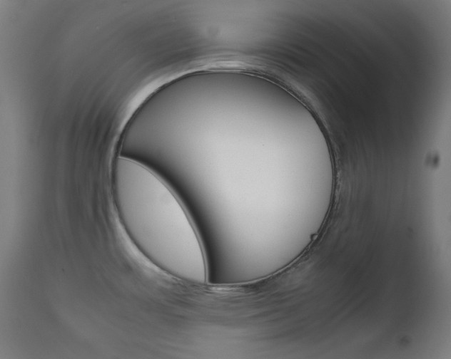 X0000112091483200908041036