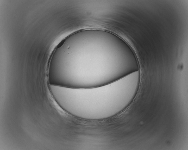 X0000112091485200908041036