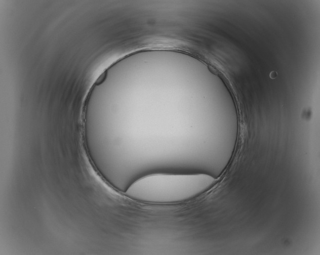 X0000112091487200908041036