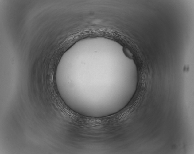 X0000112091489200908041035