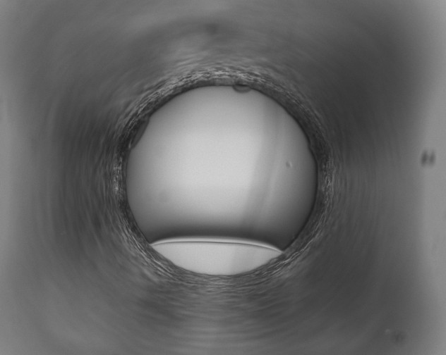 X0000112091490200908041035