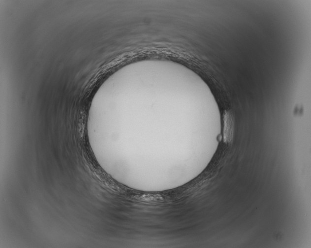 X0000112091491200908041035