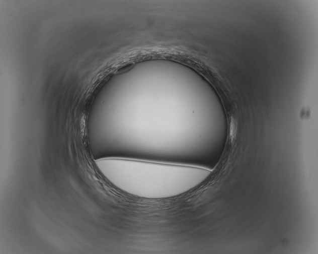 X0000112091492200908041035