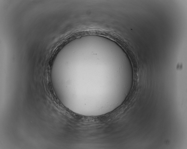 X0000112091493200908041035