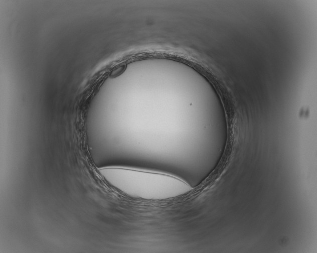X0000112091494200908041035