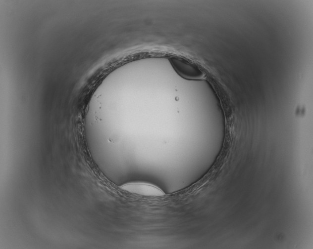 X0000112091495200908041035