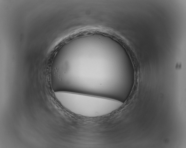 X0000112091496200908041035