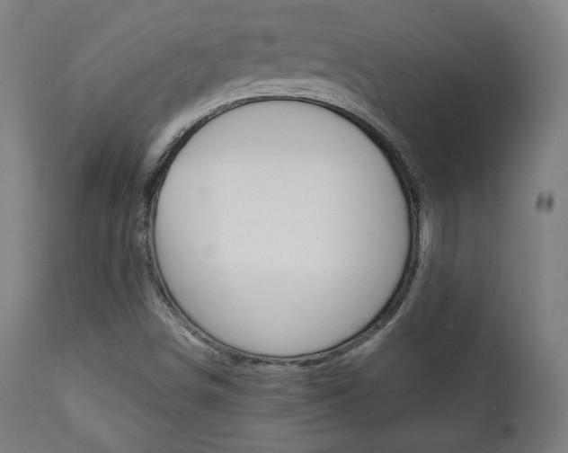 X0000112091498200908041035