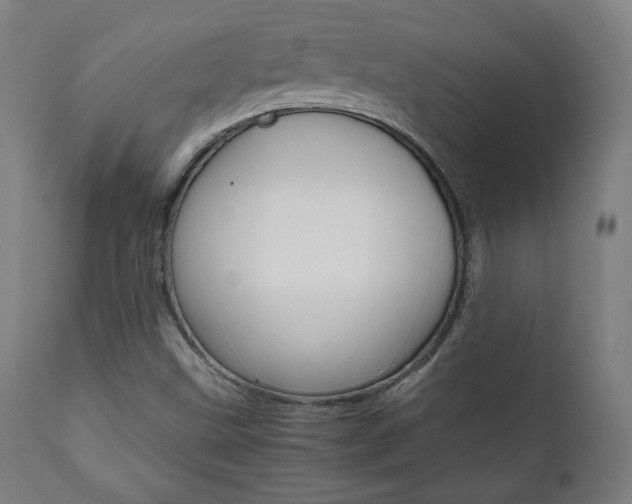 X0000112091499200908041035