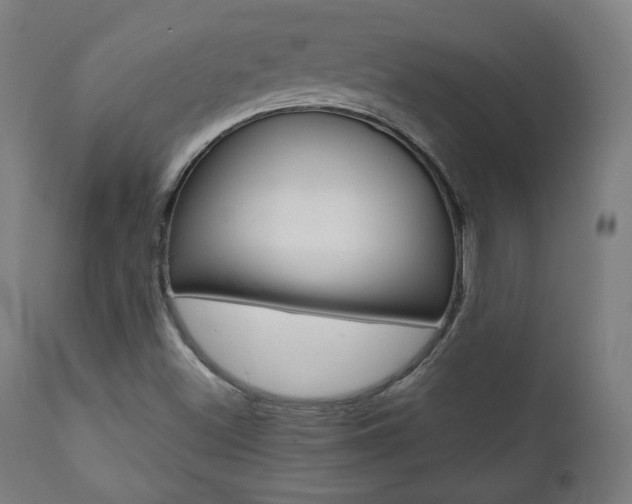 X0000112091500200908041035