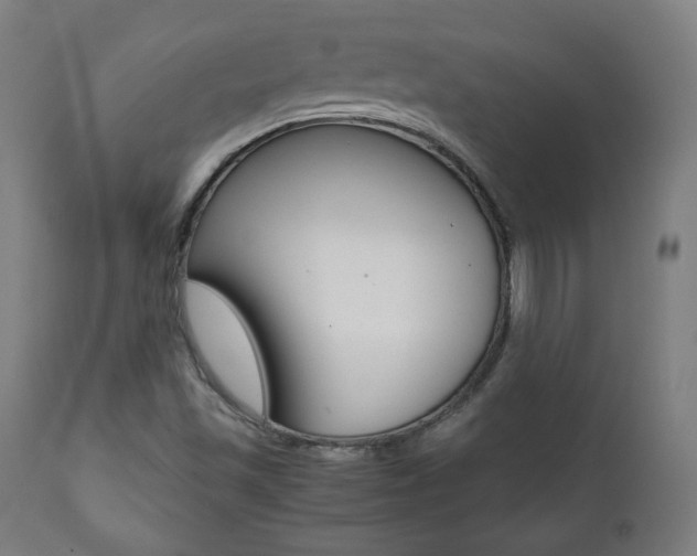 X0000112091501200908041035