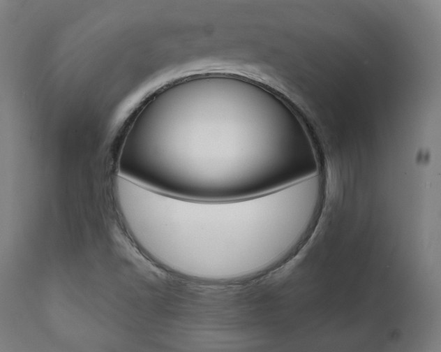 X0000112091502200908041035