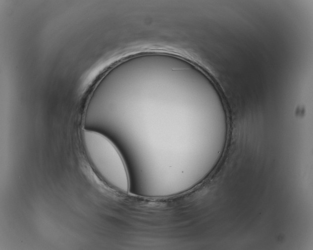X0000112091503200908041035