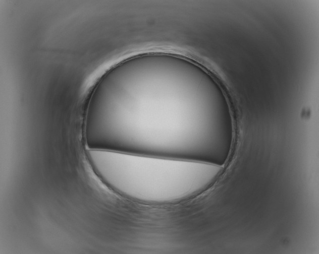 X0000112091504200908041035