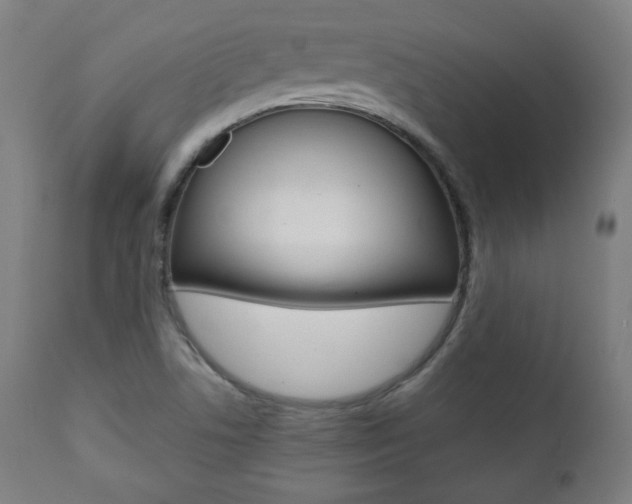 X0000112091506200908041035