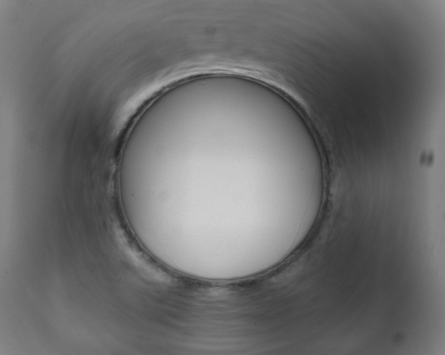 X0000112091507200908041035