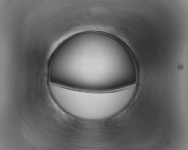 X0000112091508200908041035