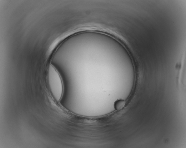 X0000112091509200908041035