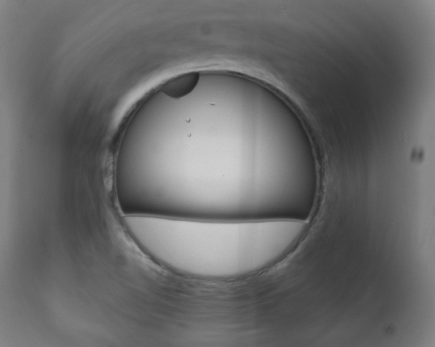 X0000112091510200908041035