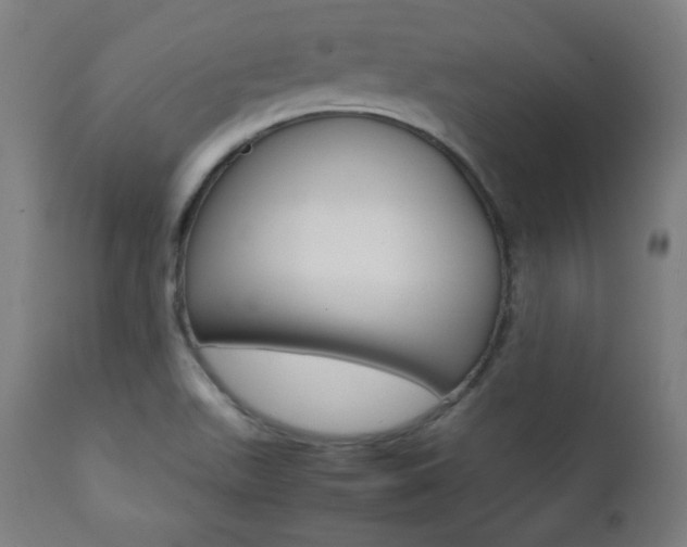 X0000112091511200908041035