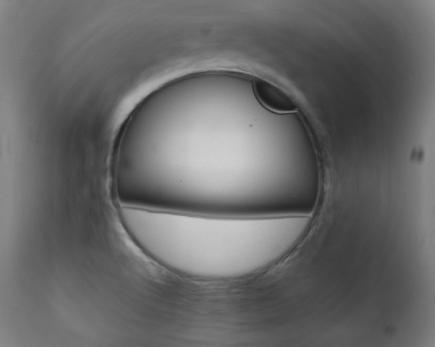 X0000112091512200908041035
