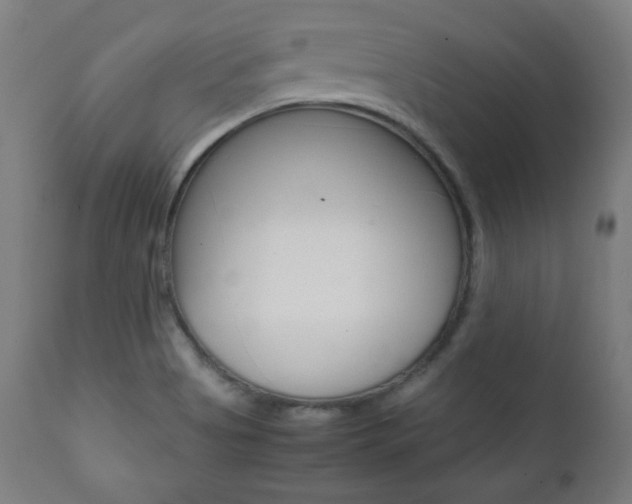 X0000112091513200908041035