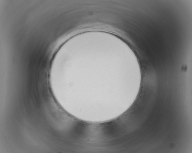 X0000112091514200908041035