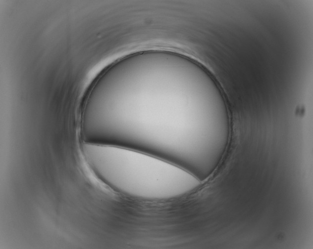 X0000112091515200908041035