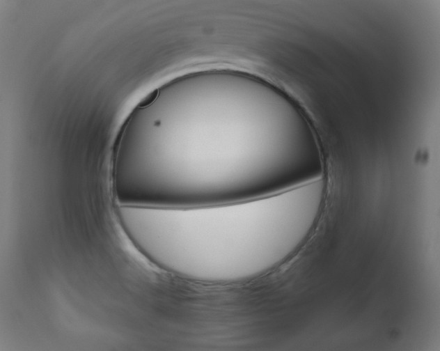 X0000112091516200908041036