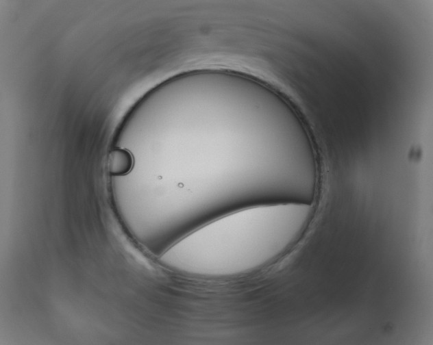 X0000112091517200908041036
