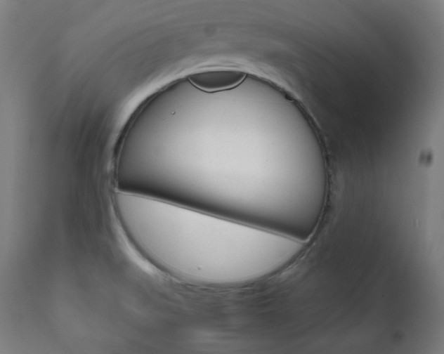 X0000112091519200908041036